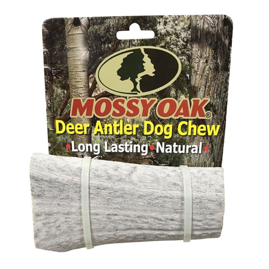 Treats QT Dog | Qt Dog - Mossy Oak Antler Chew