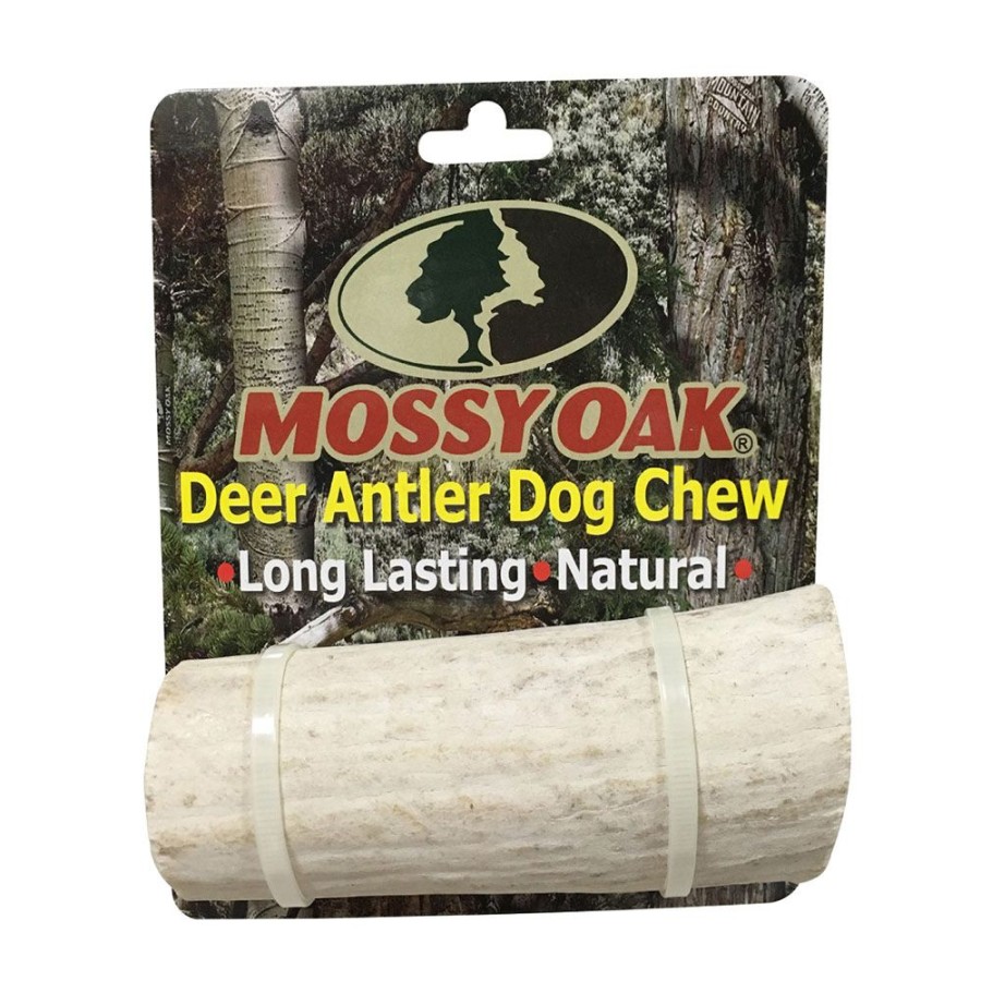 Treats QT Dog | Qt Dog - Mossy Oak Antler Chew