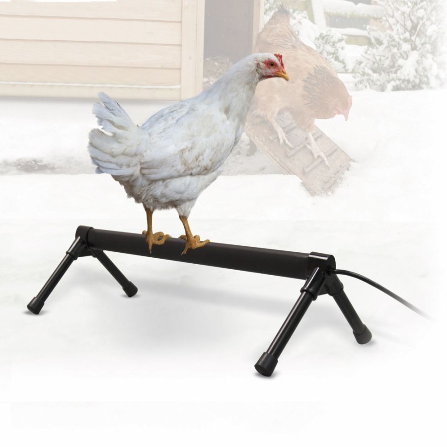 For Cats & Other Critters K&H Pet Products | Thermo-Chicken Perch