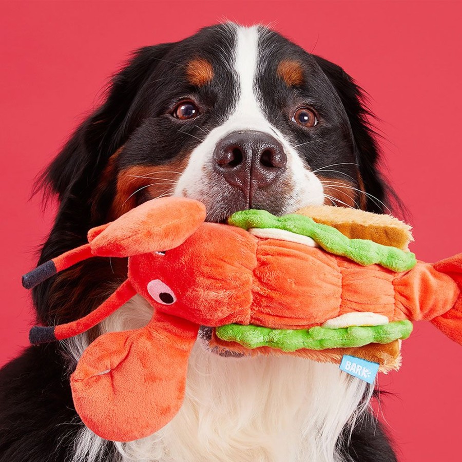 Toys & Playthings BARK | Bark Max'S Maine Lobster Roll