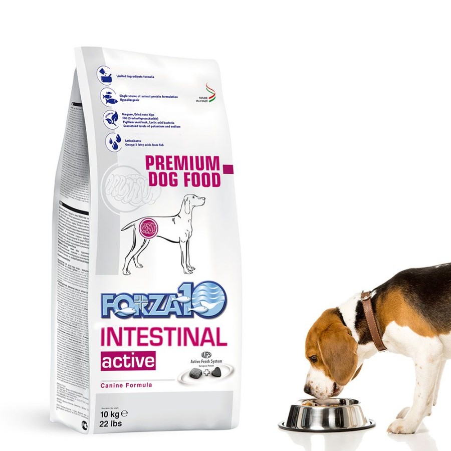 Pet Food Forza10 | Active Intestinal Support Diet Dry Dog Food