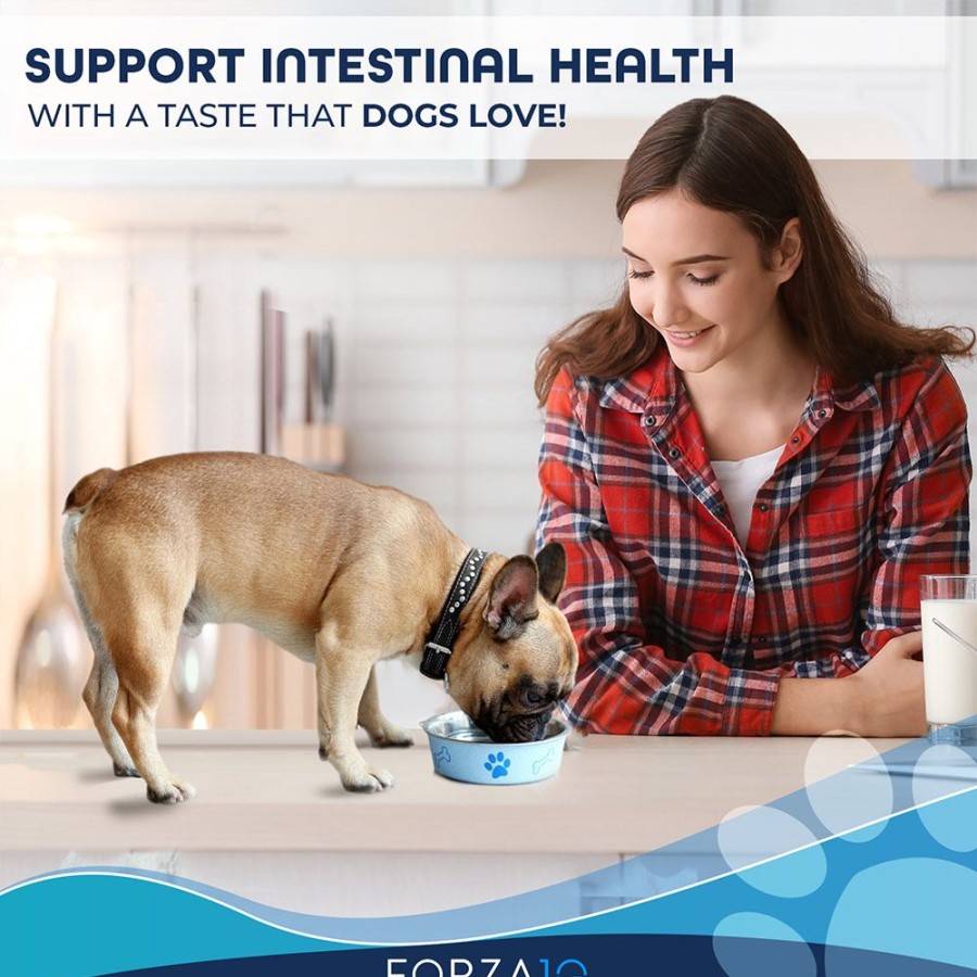 Pet Food Forza10 | Active Intestinal Support Diet Dry Dog Food