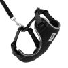 For Cats & Other Critters RC Pets | Adventure Kitty Harness - Black