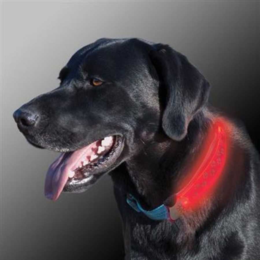 Collars, Leads & Accessories Nite-Ize® | Nite Ize - Nite Dawg Led Collar Cover - Grey