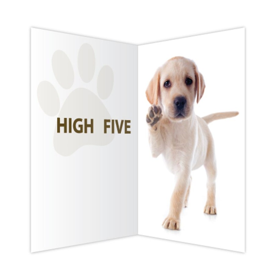 Special Occasion & Holiday dog speak | Encouragement - High Five (6 Pack)