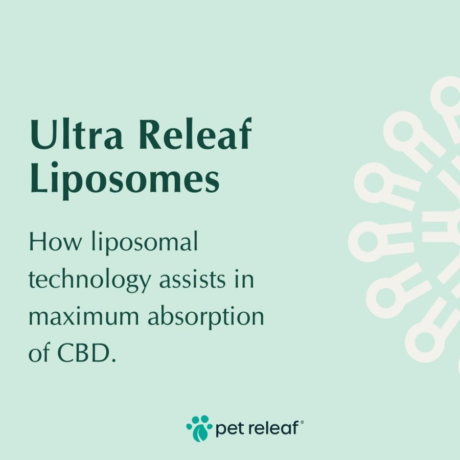 Health & Safety Pet Releaf | Pet Releaf Ultra Releaf 100Mg Liposome Cbd Oil For Small Dogs & Cats