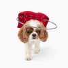 Health & Safety Muffin’s Halo | Muffin'S Halo Blind Dog Guide - Red Angel Wings