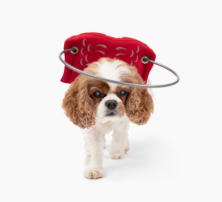 Health & Safety Muffin’s Halo | Muffin'S Halo Blind Dog Guide - Red Angel Wings