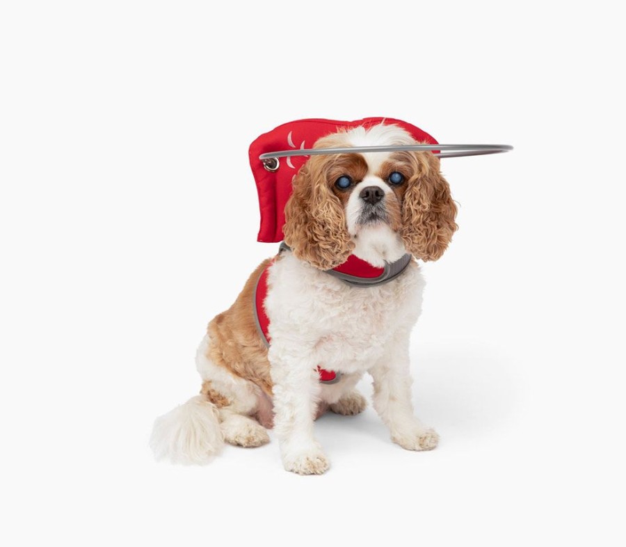 Health & Safety Muffin’s Halo | Muffin'S Halo Blind Dog Guide - Red Angel Wings