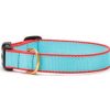 Collars, Leads & Accessories Up Country™ | Aqua And Coral - Color Market Collection Collars & Leads