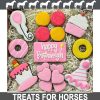 For Cats & Other Critters Snaks 5th Avenchew | Birthday Girl Snakbox (Horse) - Gourmet Horse Treats By Snaks 5Th Avenchew