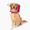 Health & Safety Muffin’s Halo | Muffin'S Halo Blind Dog Guide - Pink Angel Wings