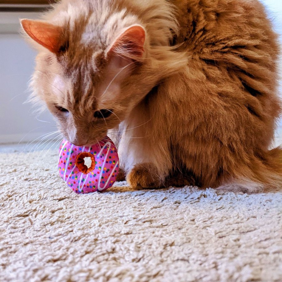 For Cats & Other Critters Huxley & Kent® | Strawberry Donut Plush Cat Toy