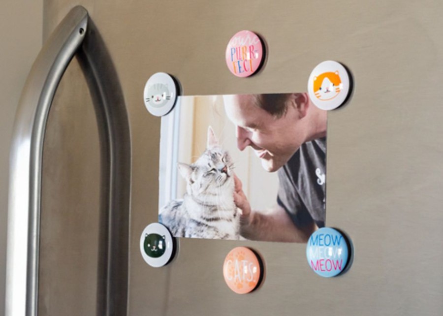 For The Home Pearhead™ | Cat Glass Magnets