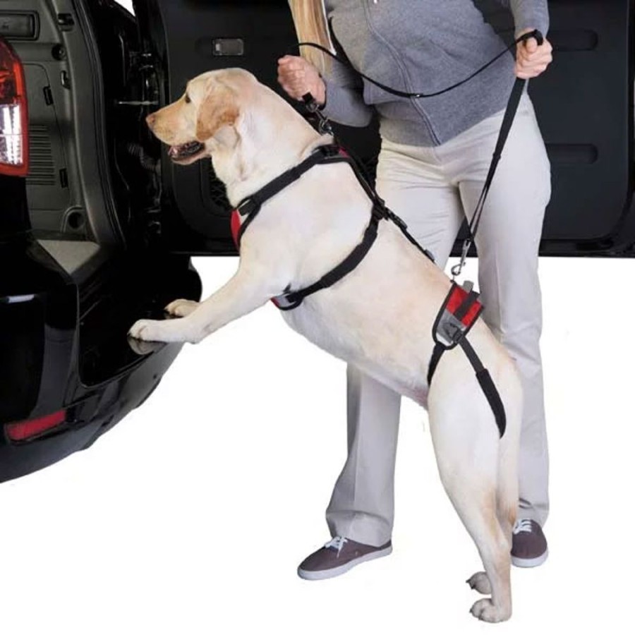 Health & Safety Total Pet Health™ | Total Pet Health Lift & Go Leads - Red