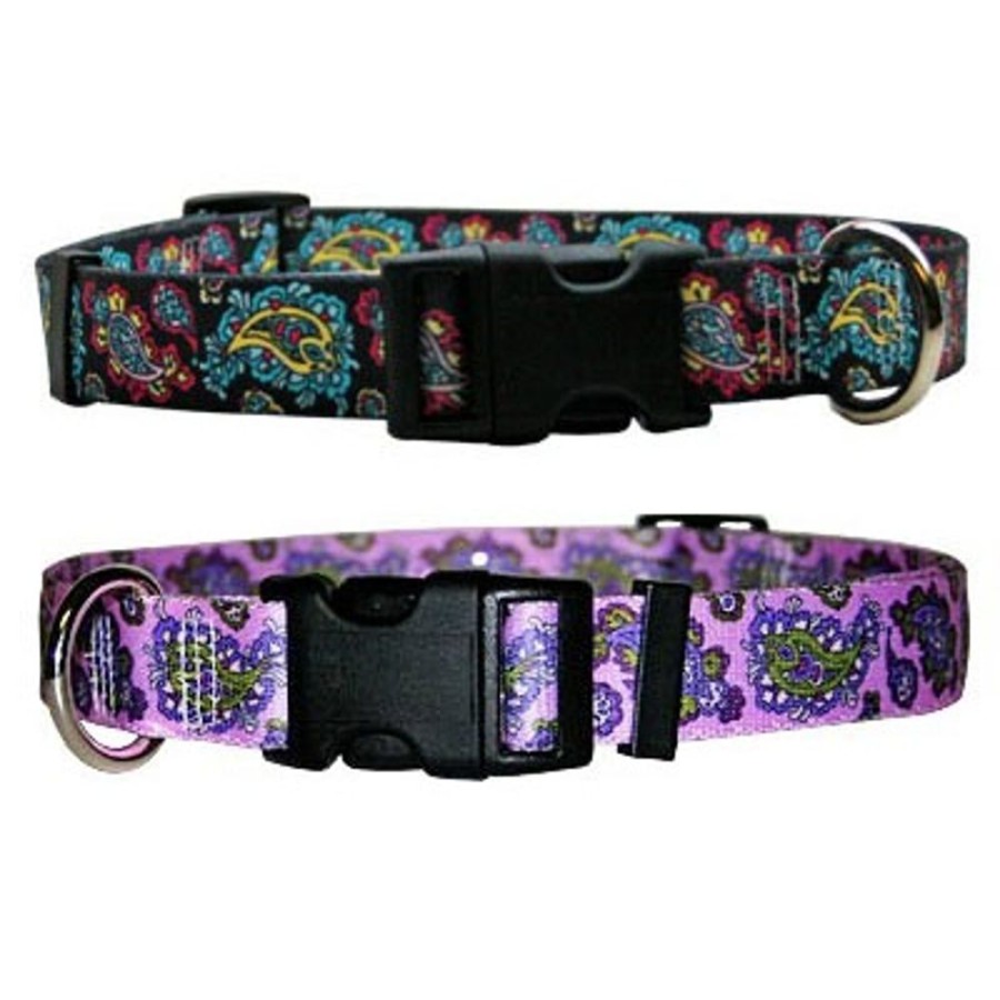 Collars, Leads & Accessories Yellow Dog Design | Paisley Collection