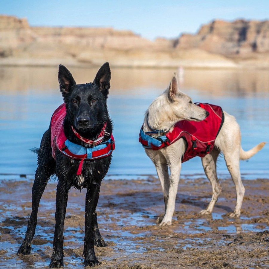 Health & Safety Kurgo | Surf N Turf Dog Life Jacket