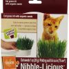 For Cats & Other Critters Petlinks | Petlinks Nibble-Licious Grow Kit