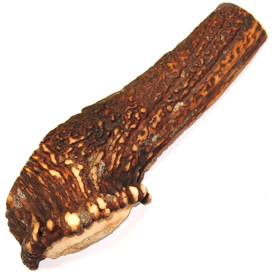 Treats Tuesday's Natural Dog Company | Royal Brown Deer Antler - Split Large