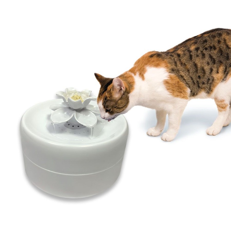 Bowls & Feeding Supplies Pioneer Pet Products™ | Magnolia Drinking Fountain By Pioneer Pet