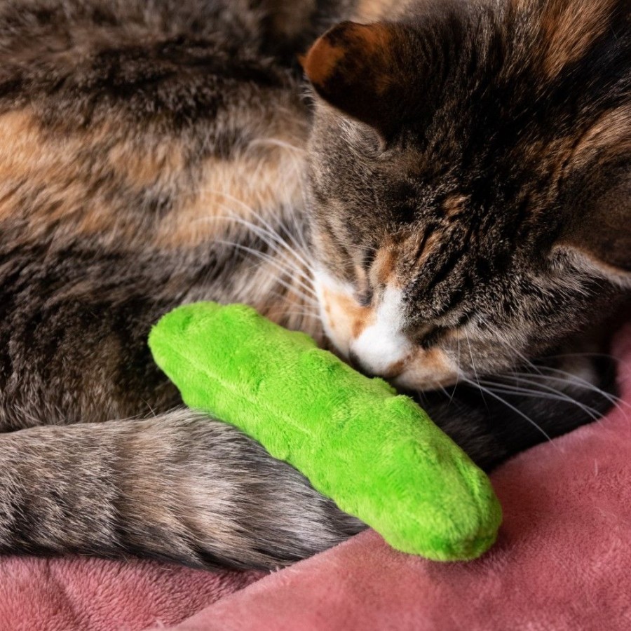 For Cats & Other Critters Huxley & Kent® | Pickle Plush Cat Toy