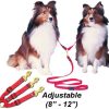 Collars, Leads & Accessories CETACEA® Pet Products | Adjustable Triple Dog Coupler