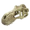 For Cats & Other Critters Komodo | Komodo T-Rex Skull