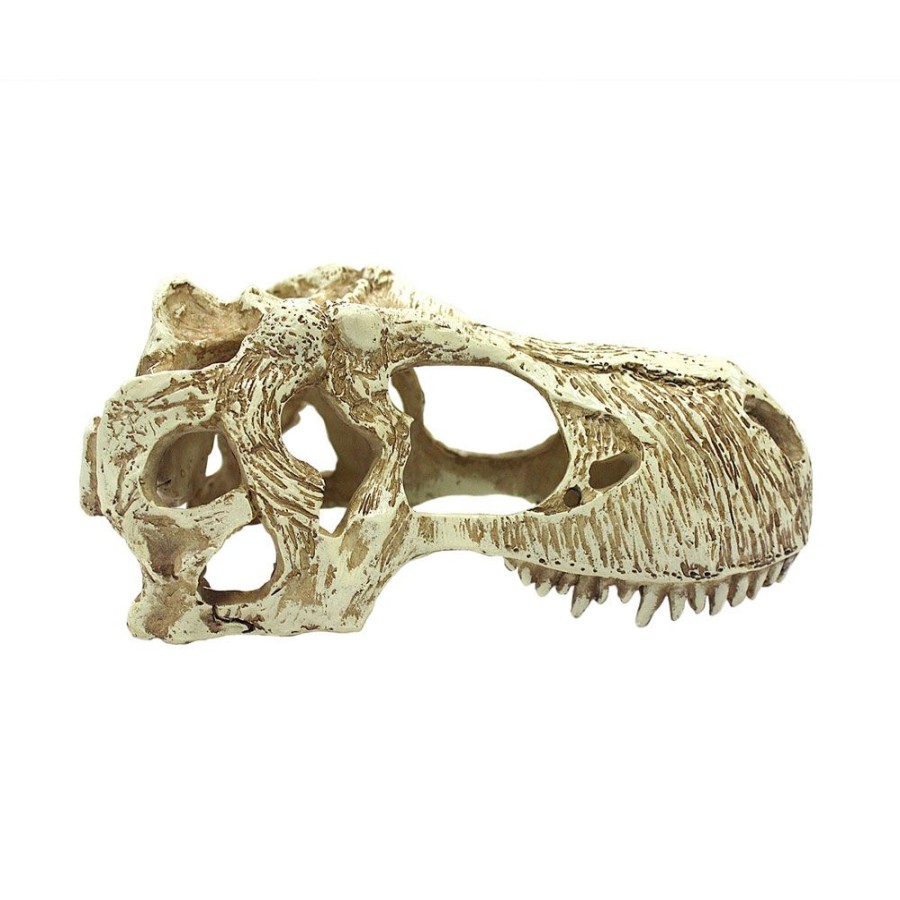 For Cats & Other Critters Komodo | Komodo T-Rex Skull