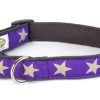 Collars, Leads & Accessories earthdog | Kody-Iv Collection