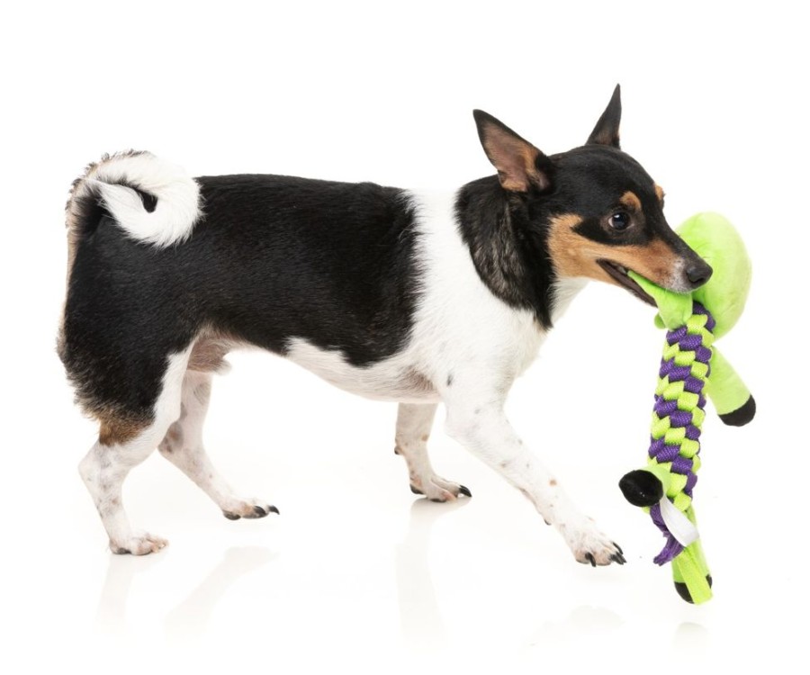 Special Occasion & Holiday FuzzYard | Fuzzyard Dog Toy Bone Affleck