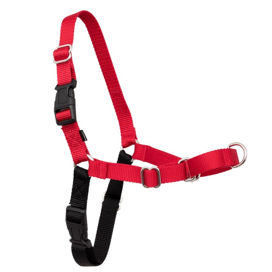 Training PetSafe® | Easy Walk® Harness, No Pull Dog Harness In Clamshell