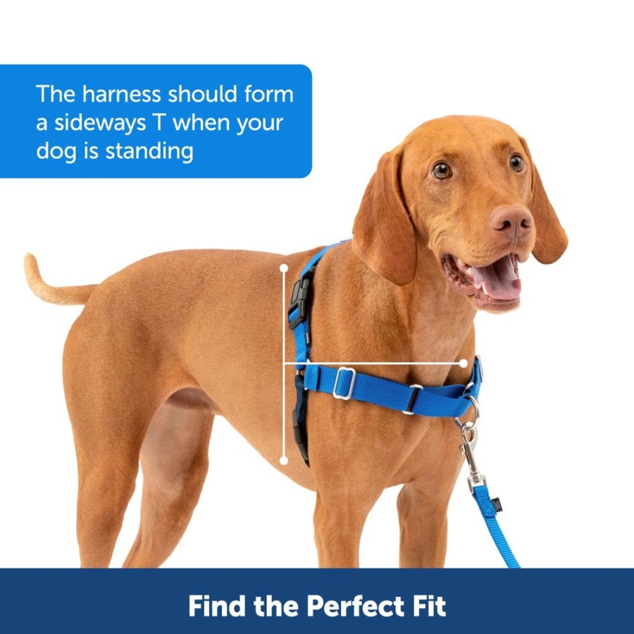 Training PetSafe® | Easy Walk® Harness, No Pull Dog Harness In Clamshell