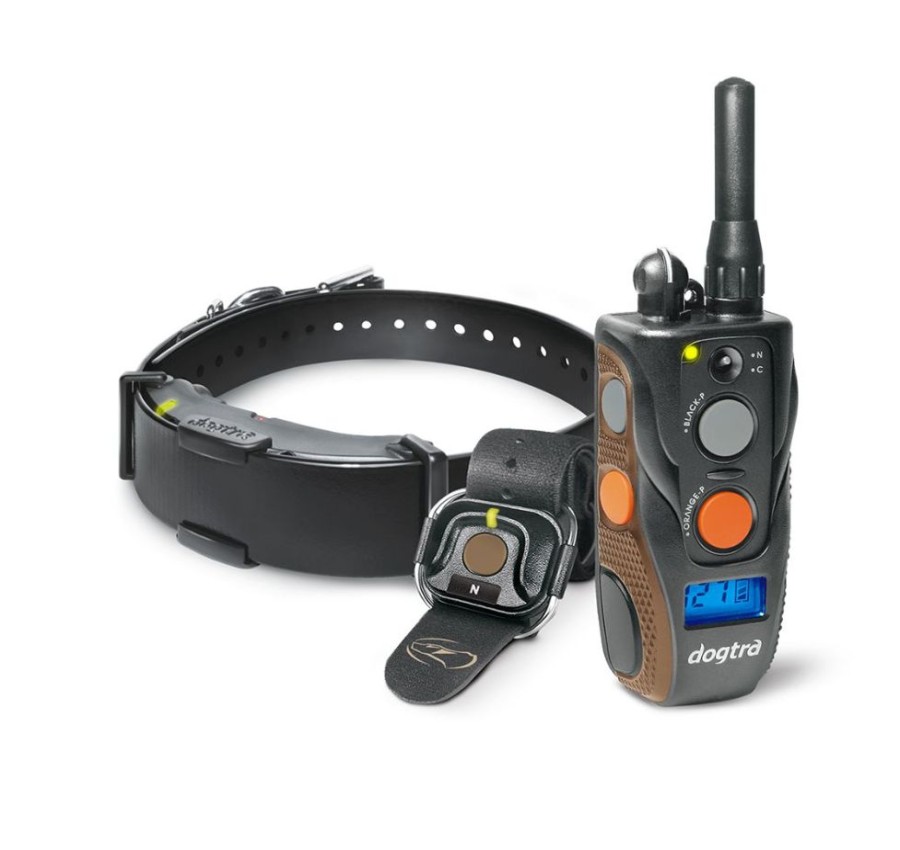 Training Dogtra | Arc Handsfree Plus 2021