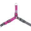 Harnesses RC Pets | Pace No Pull Harness - Mulberry