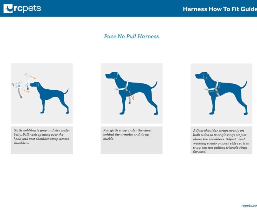 Harnesses RC Pets | Pace No Pull Harness - Mulberry