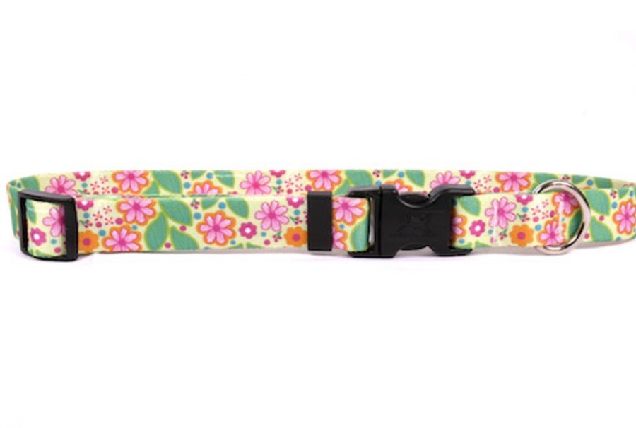 Collars, Leads & Accessories Yellow Dog Design | Flower Patch Standard Collar