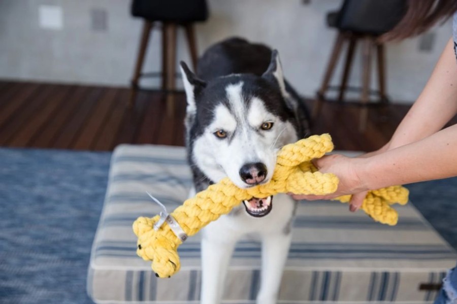 Toys & Playthings Jax & Bones | Jax & Bones Jerry The Giraffe Dog Rope Toy Jumbo 16"