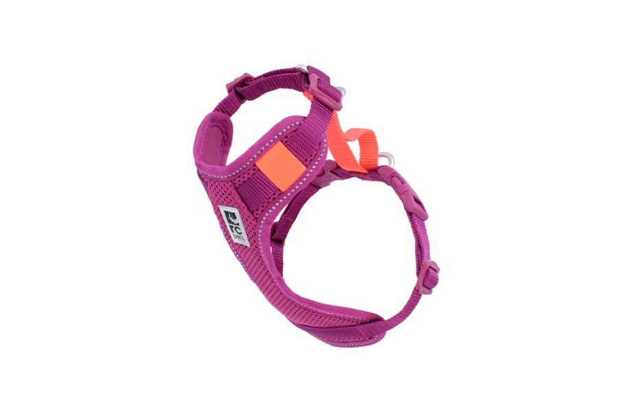 Harnesses RC Pets | Moto Control Harness - Mulberry/Hot Coral