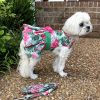 Pet Apparel (Continued) Doggie Design, Inc. | Juicy Watermelon Dog Dress With Matching Leash