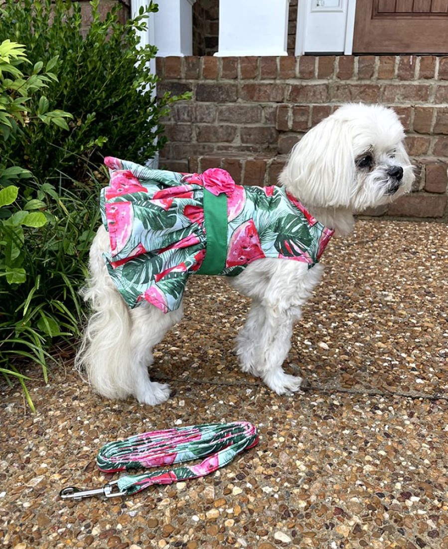 Pet Apparel (Continued) Doggie Design, Inc. | Juicy Watermelon Dog Dress With Matching Leash