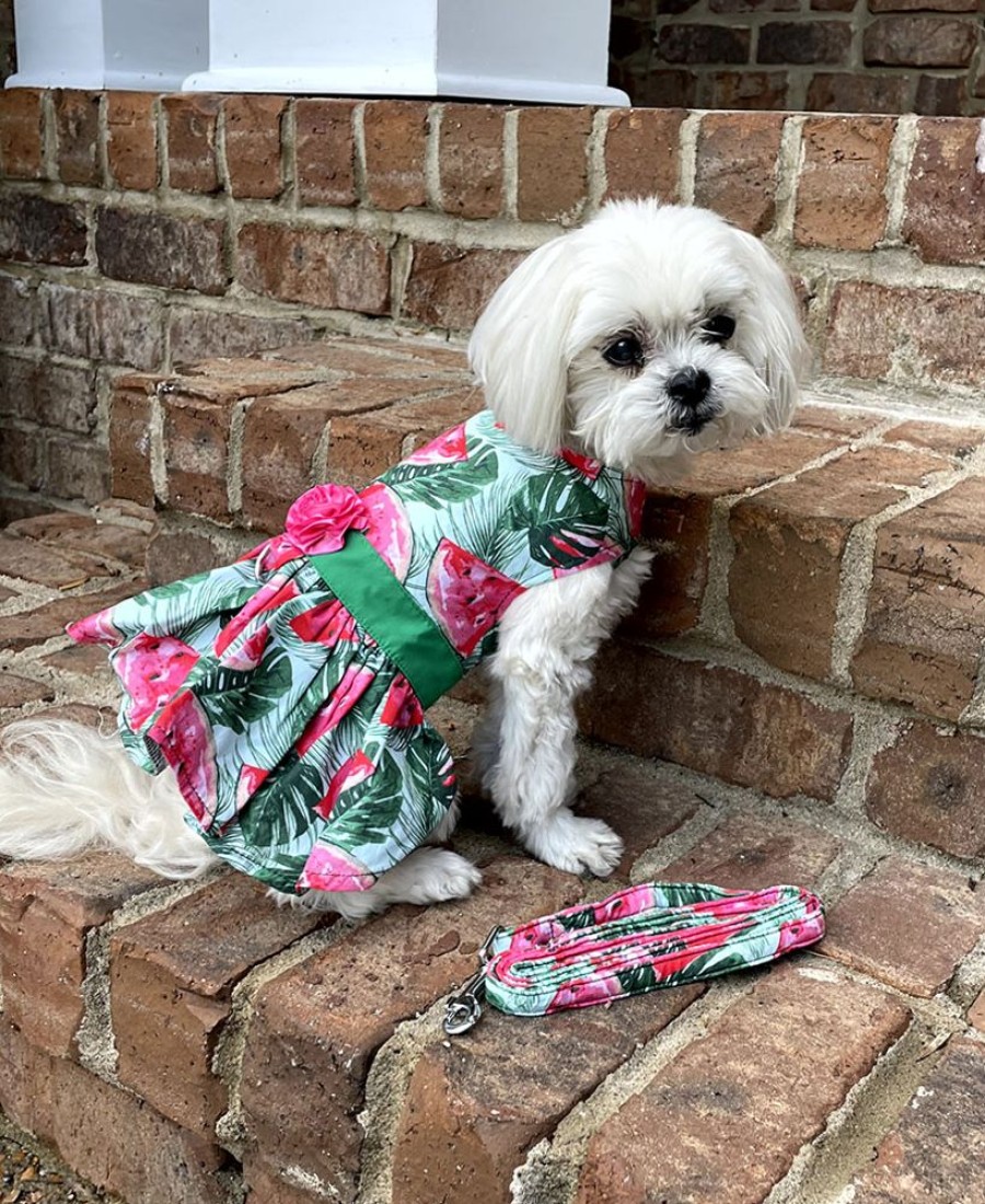 Pet Apparel (Continued) Doggie Design, Inc. | Juicy Watermelon Dog Dress With Matching Leash