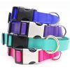 Collars, Leads & Accessories Mimi Green | Lightweight Biothane Waterproof Dog Collar - The Day Trip