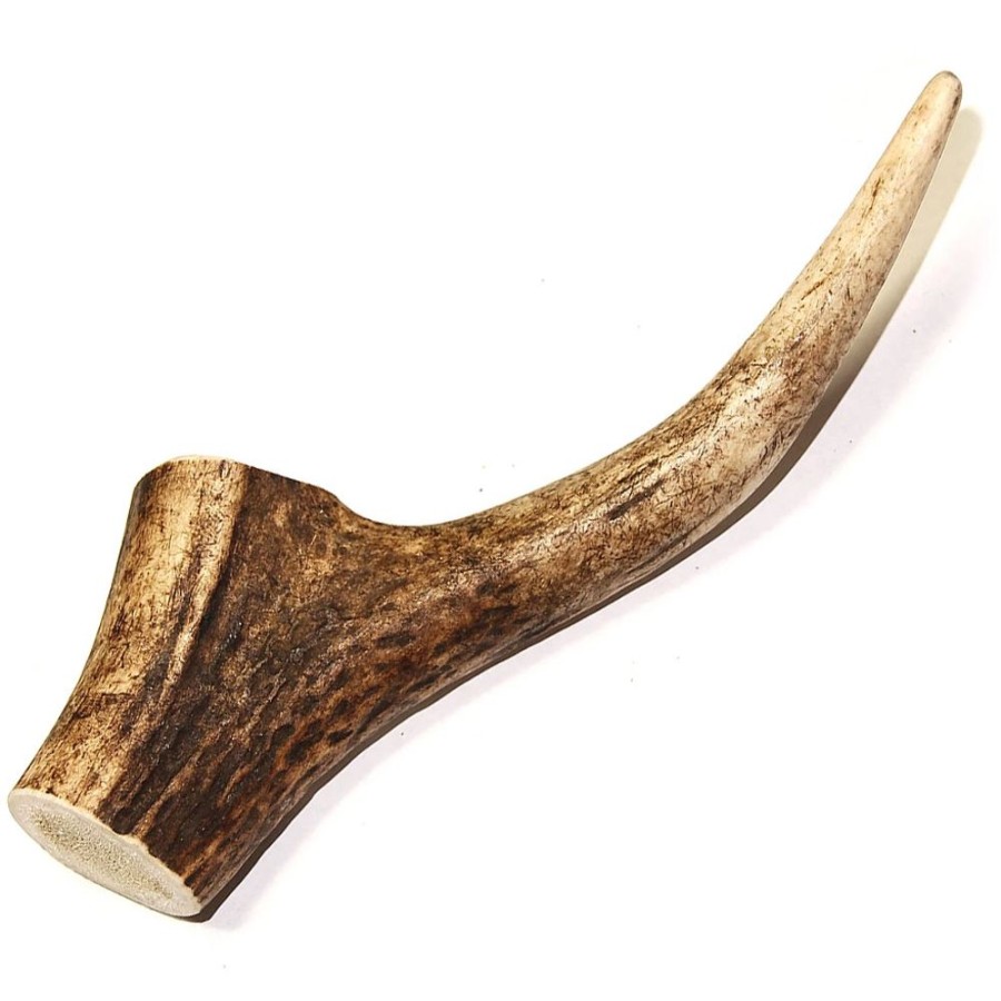 Treats Tuesday's Natural Dog Company | Royal Brown Deer Antler - Whole Small