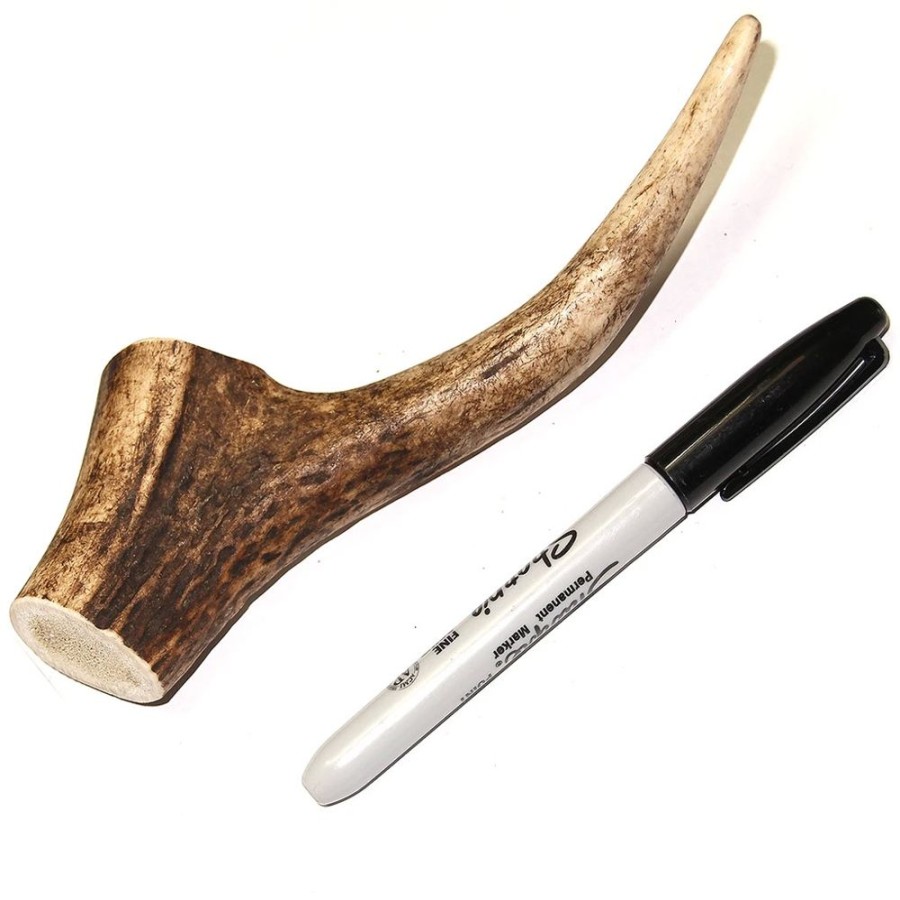 Treats Tuesday's Natural Dog Company | Royal Brown Deer Antler - Whole Small