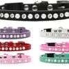 Collars, Leads & Accessories Mirage Pet Products | Pearl And Clear Jewel Breakaway Cat Collar