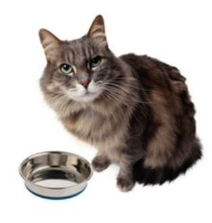 Bowls & Feeding Supplies OurPet's | Our Pets® Durapet Stainless Steel Cat Bowls (6 Oz. - 8 Oz.)