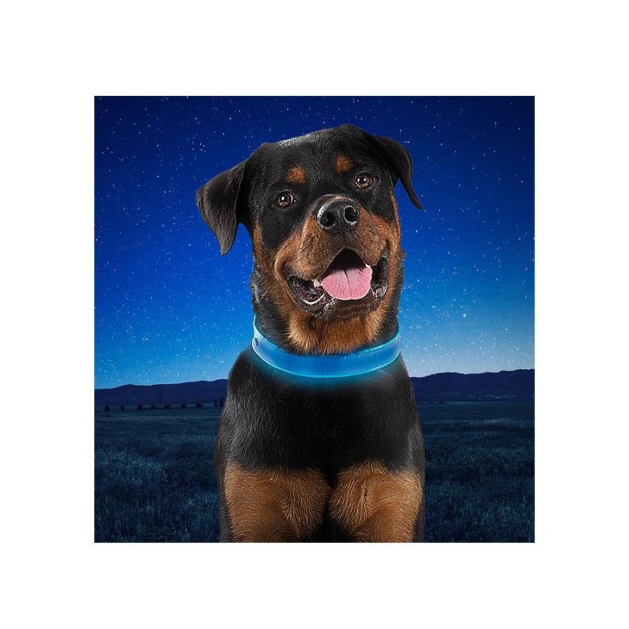 Collars, Leads & Accessories Nite-Ize® | Niteize Nitedog Rechargeable Led Collar