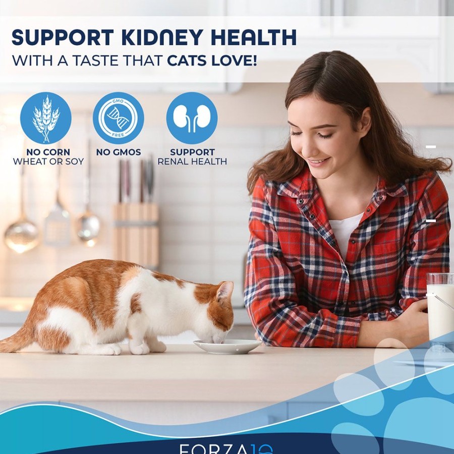 For Cats & Other Critters Forza10 | Active Cat Kidney Renal Support Diet Dry Cat Food