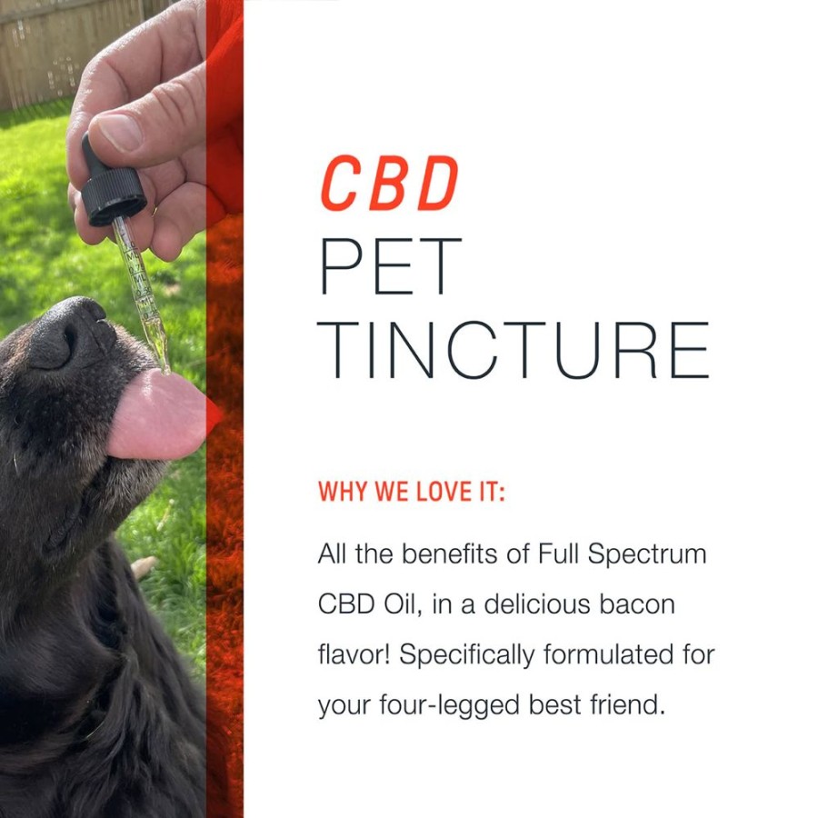 Health & Safety Motive CBD Pet | Full Spectrum Cbd Oil For Pets 250Mg Bacon Flavor, 29.5Ml Bottle