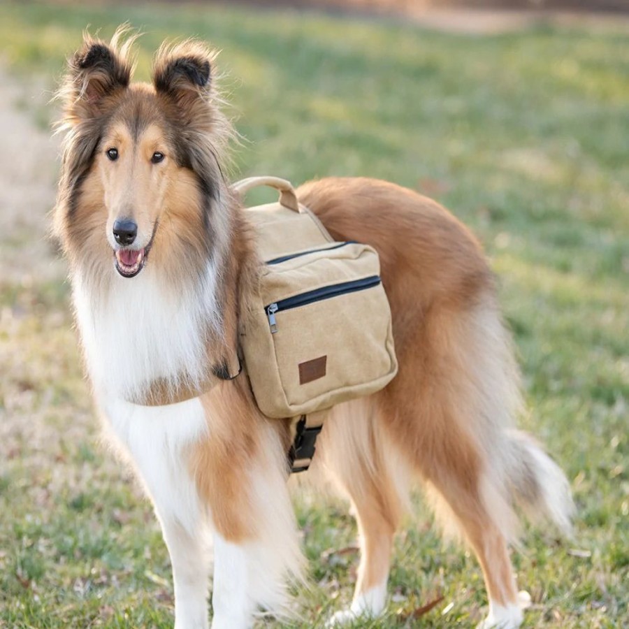 Harnesses BoxDog | Canvas Saddlebag For Dogs By Boxdog